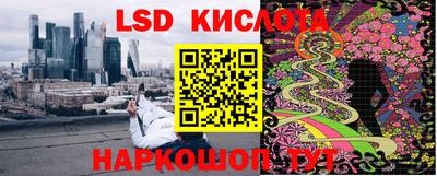 ПСИЛОЦИБИНОВЫЕ ГРИБЫ Кунгур