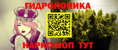 ПСИЛОЦИБИНОВЫЕ ГРИБЫ Кунгур