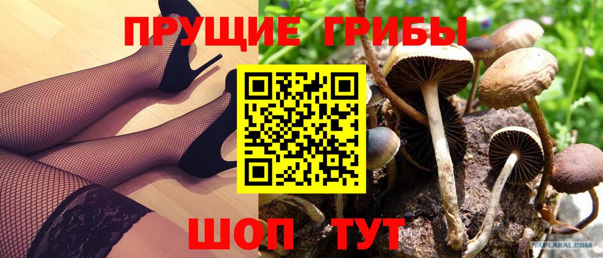 Псилоцибиновые грибы прущие грибы  Вход с VPN  Ипатово 